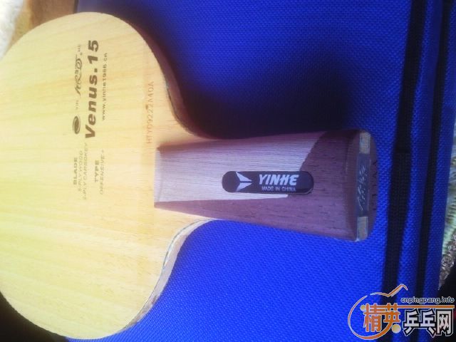 ֱ������V15����