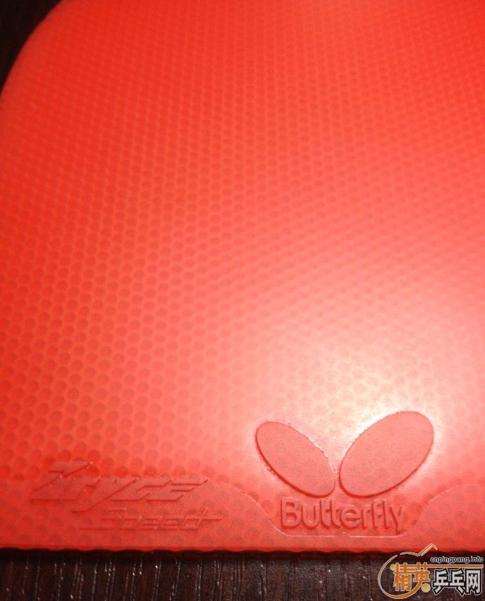 ��һ����ֱ����Ĵ���ٶ�bryce speed