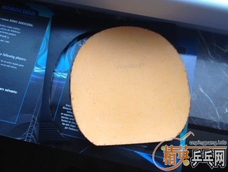 ~~~~�����ѳ���ɫ���׵�õ��5~~~