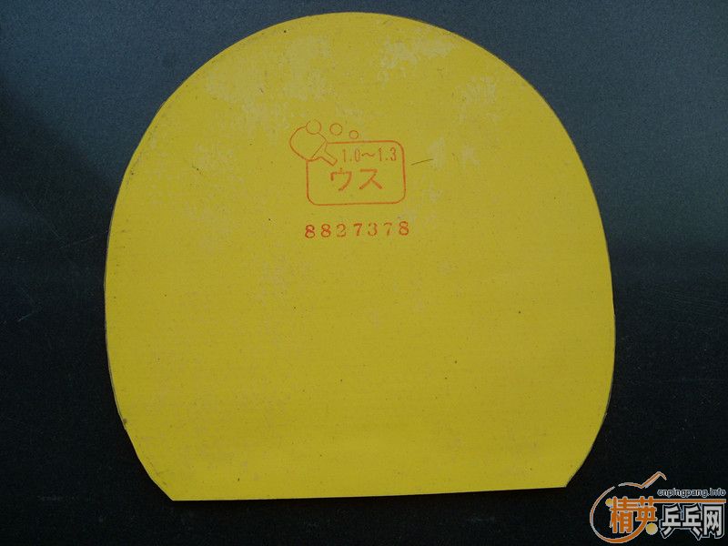 ��2�ų����׽�TSP CURL P-3a 80Ԫ��837�׽�   15Ԫ