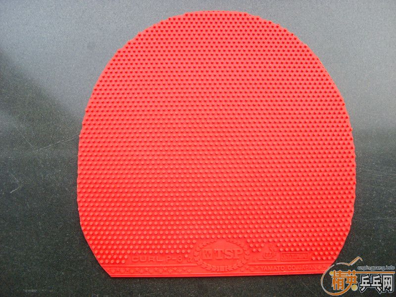 ��2�ų����׽�TSP CURL P-3a 80Ԫ��837�׽�   15Ԫ