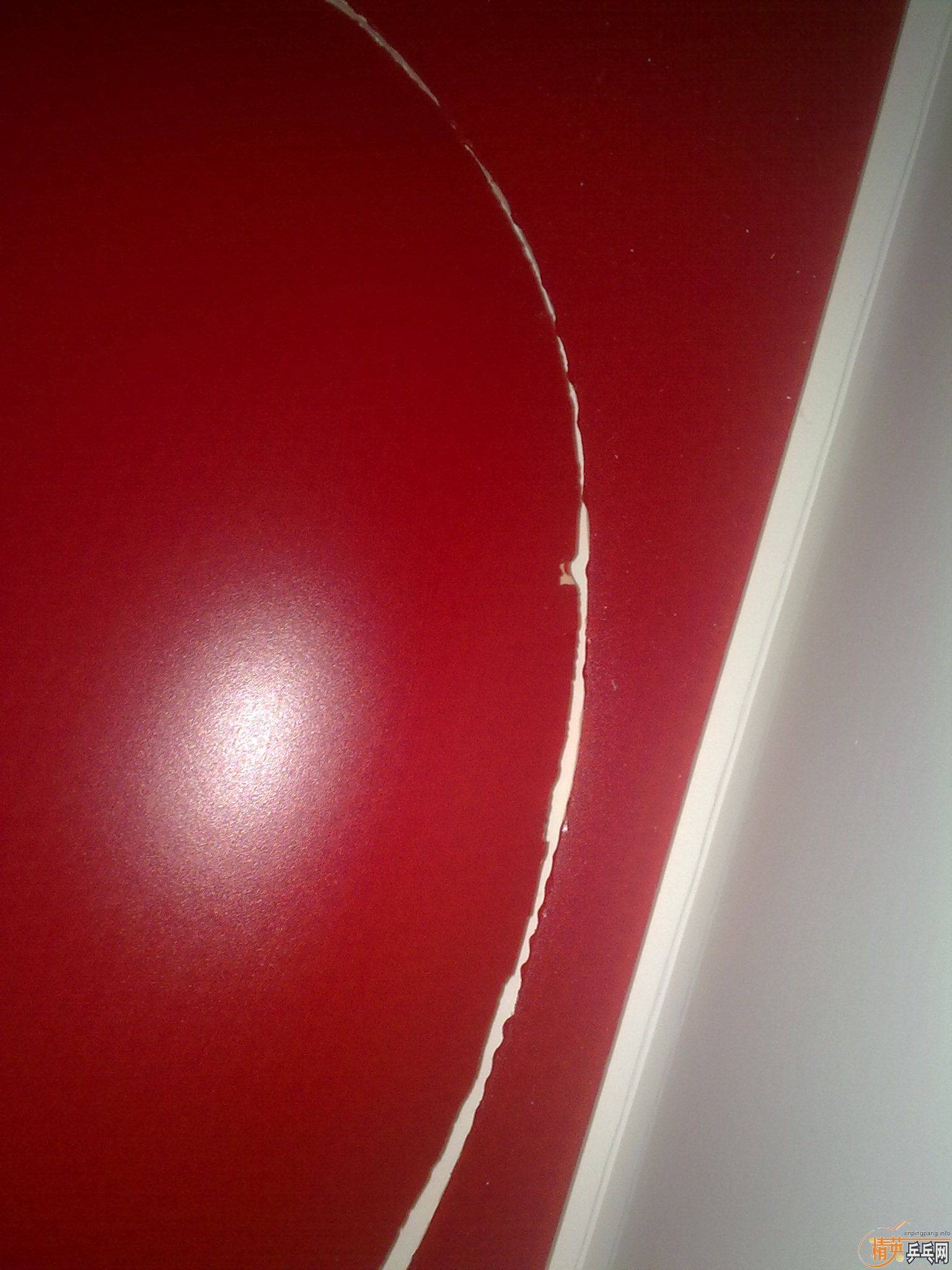 130�����׽��ɫ����450