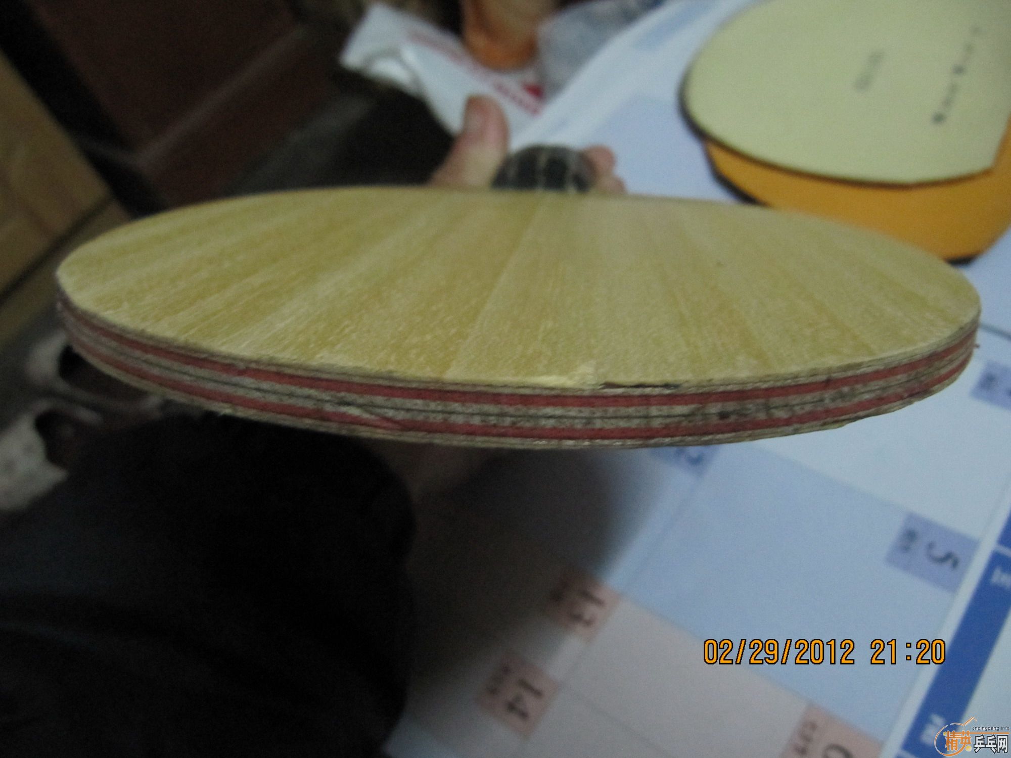 ��ͦ����̼��