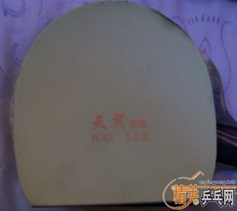 ��ֱ��˹�ٿ�ȫ�ܹ��� ���������׽�Ƥ��220Ԫ������ͨ