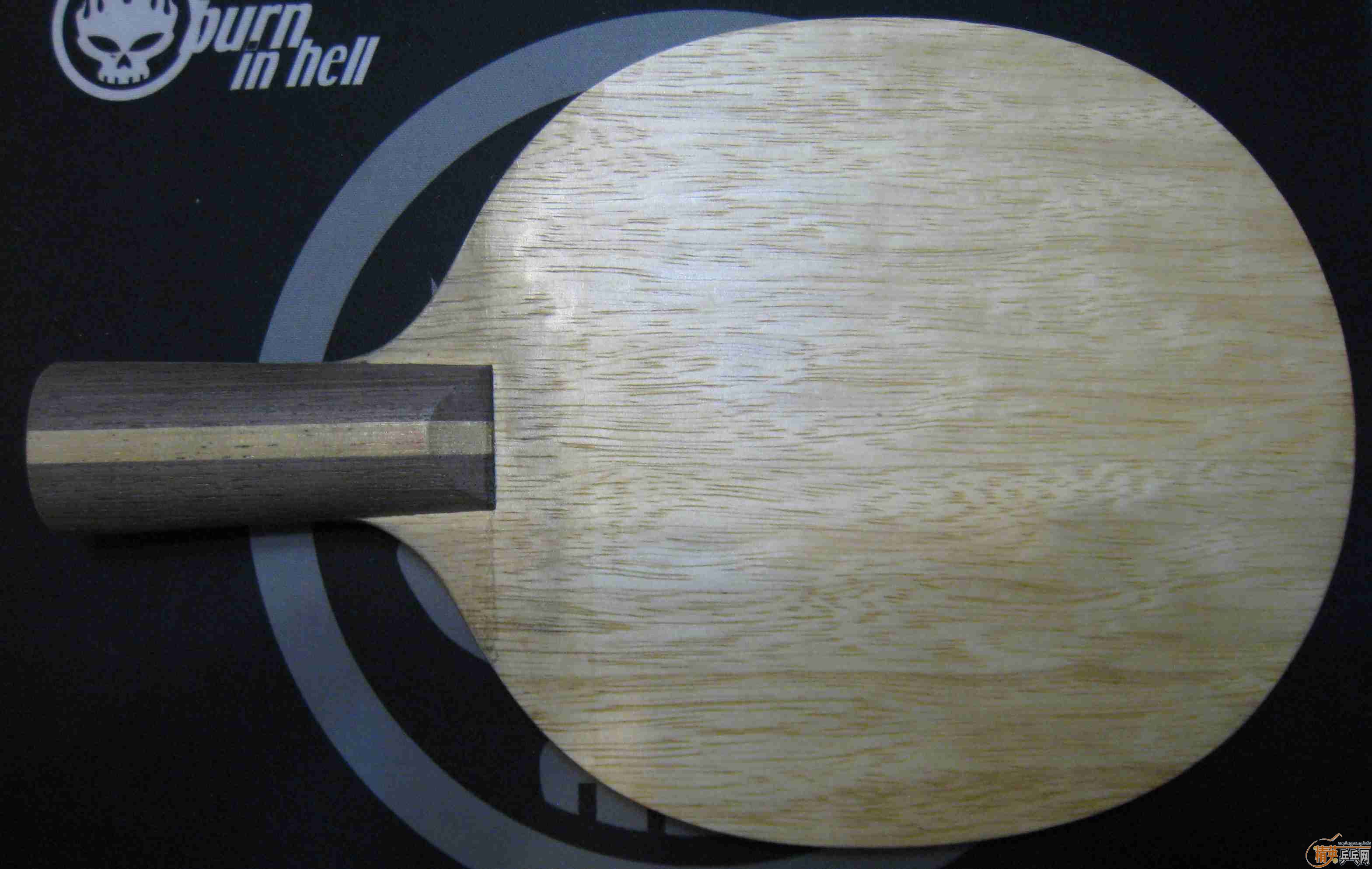 ת����װ� R5 ST+��ľ ֱ