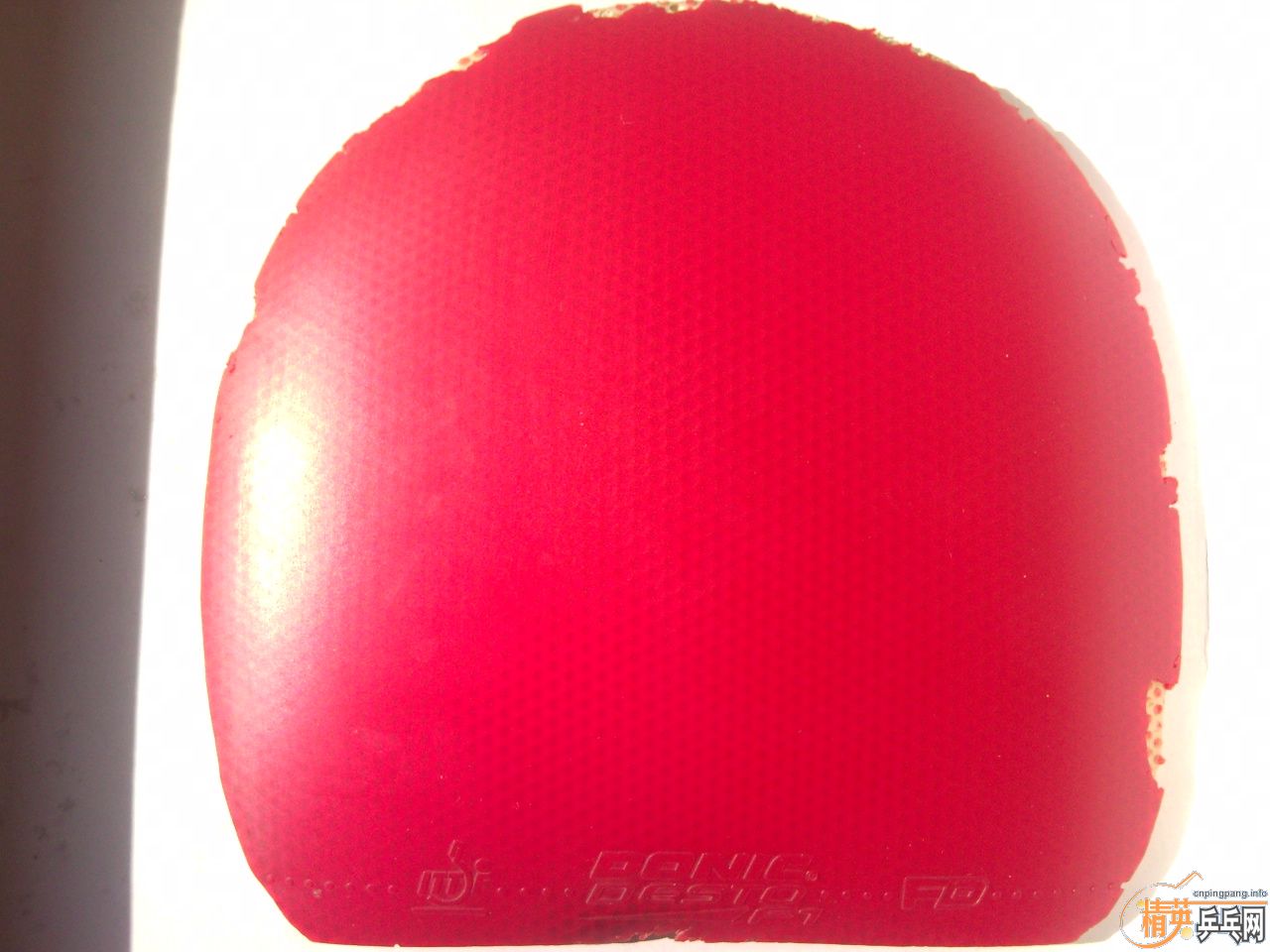 F1��729-2�����55���졣֧�������ס�