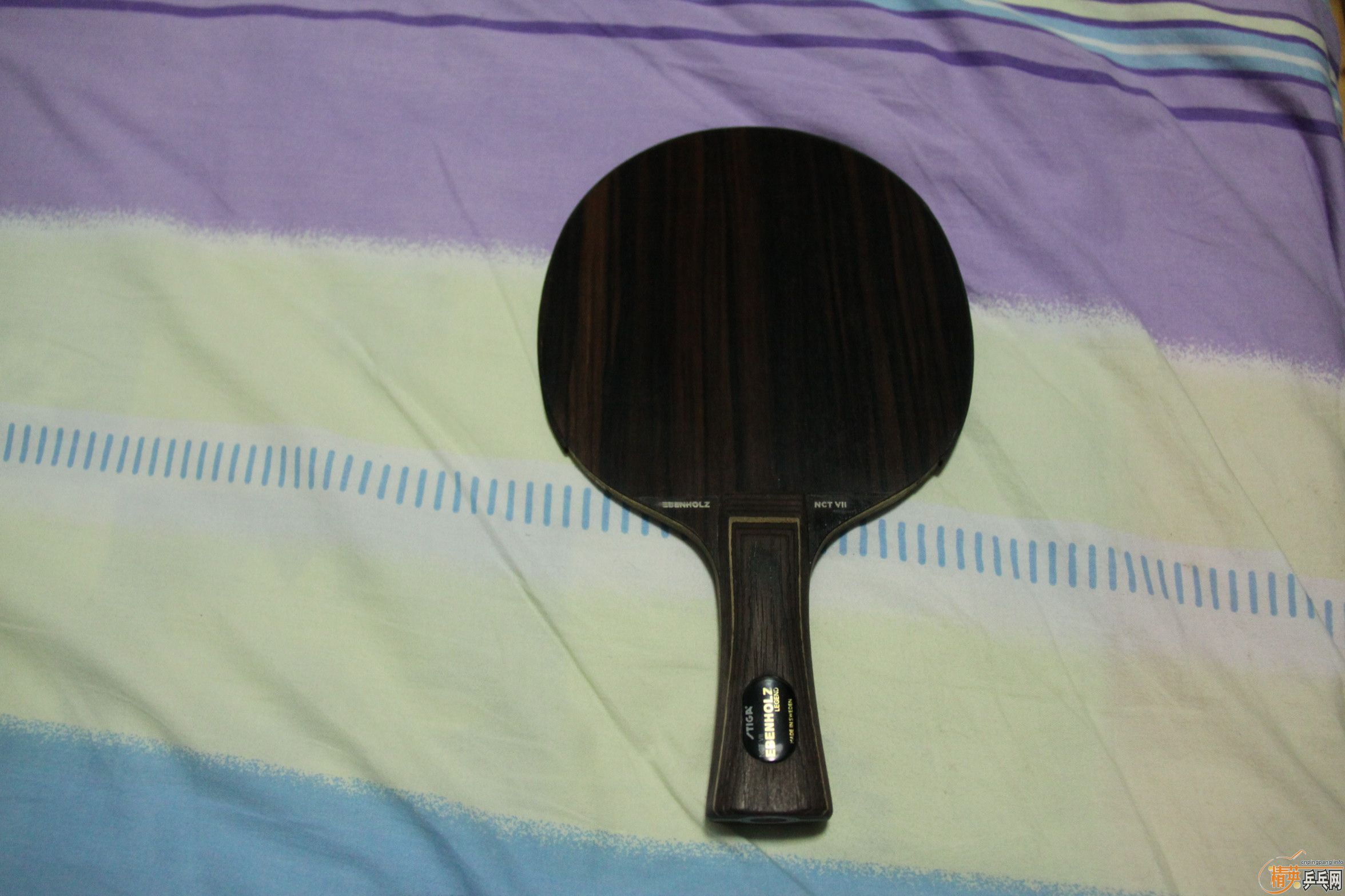 ����̴��flһ�����Դ���ѡ�׽�