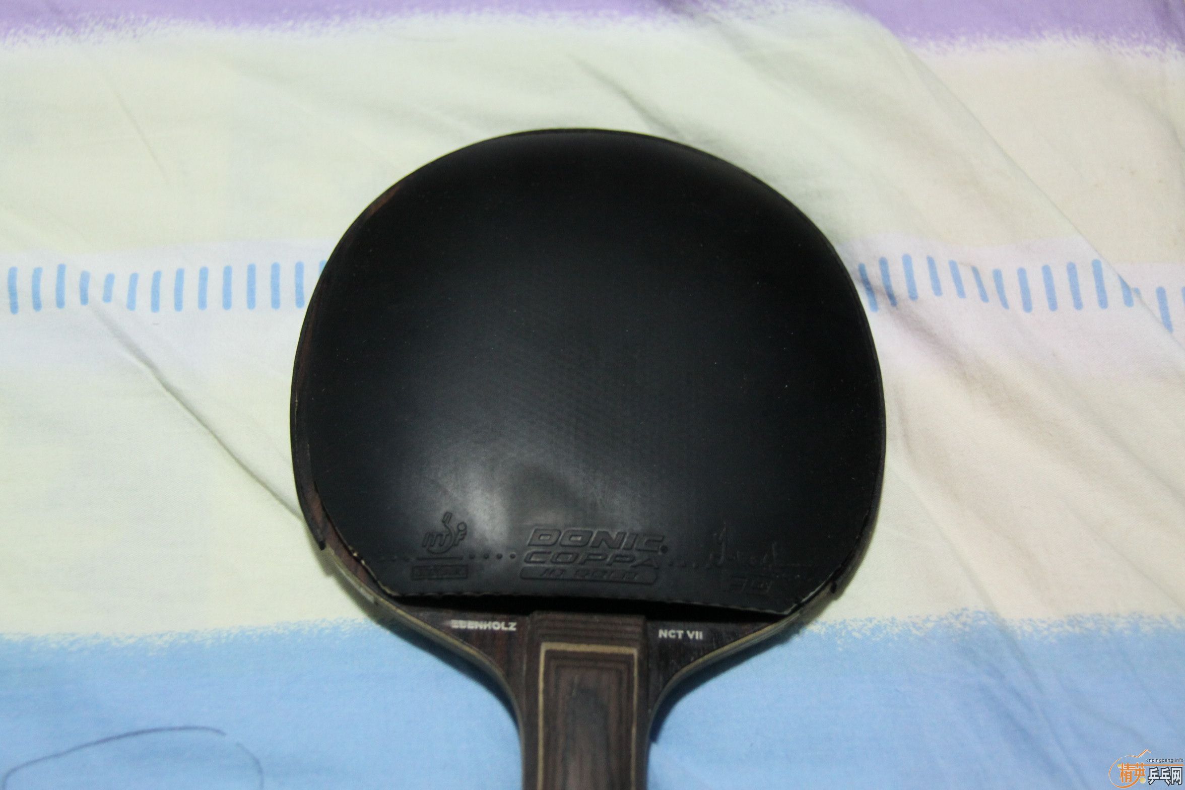 ����̴��flһ�����Դ���ѡ�׽�