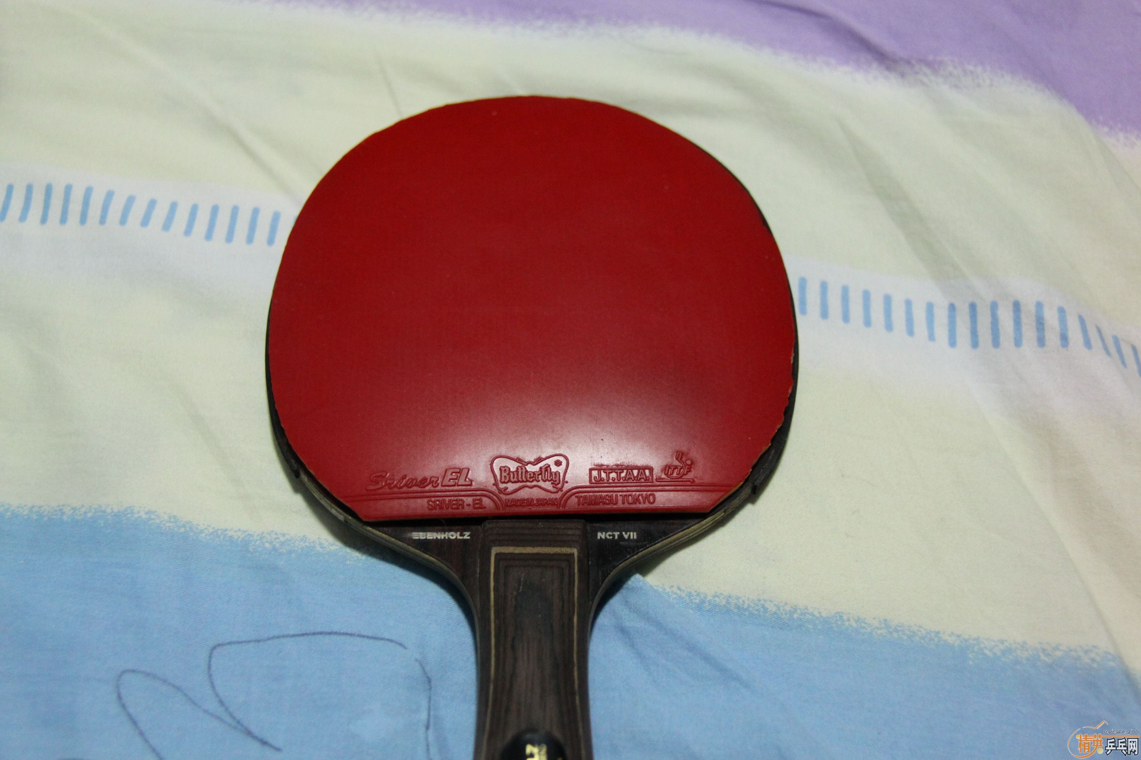 ����̴��flһ�����Դ���ѡ�׽�