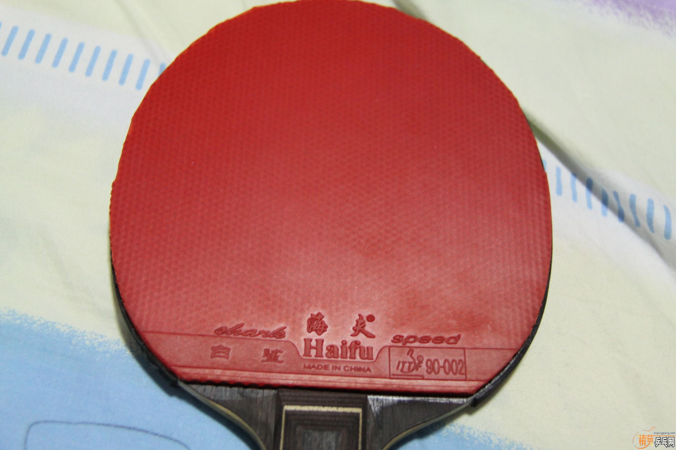 ����̴��flһ�����Դ���ѡ�׽�