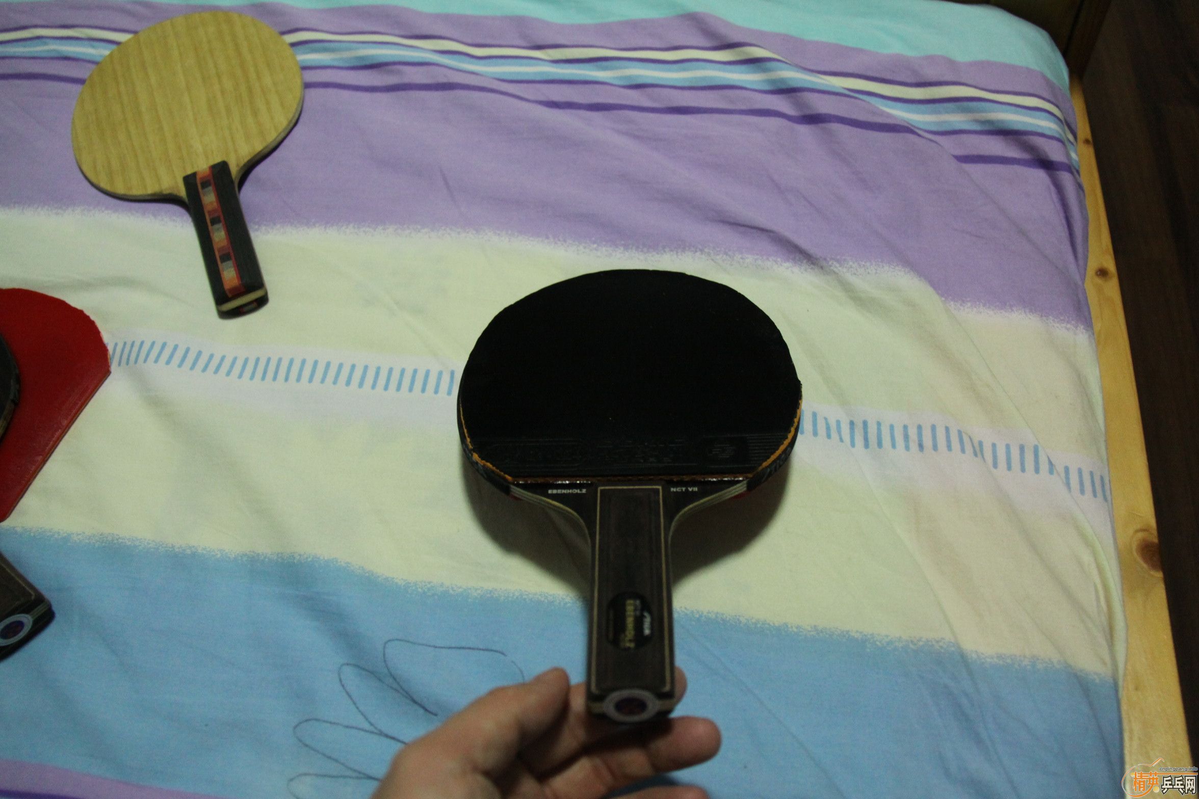 ����̴��flһ�����Դ���ѡ�׽�