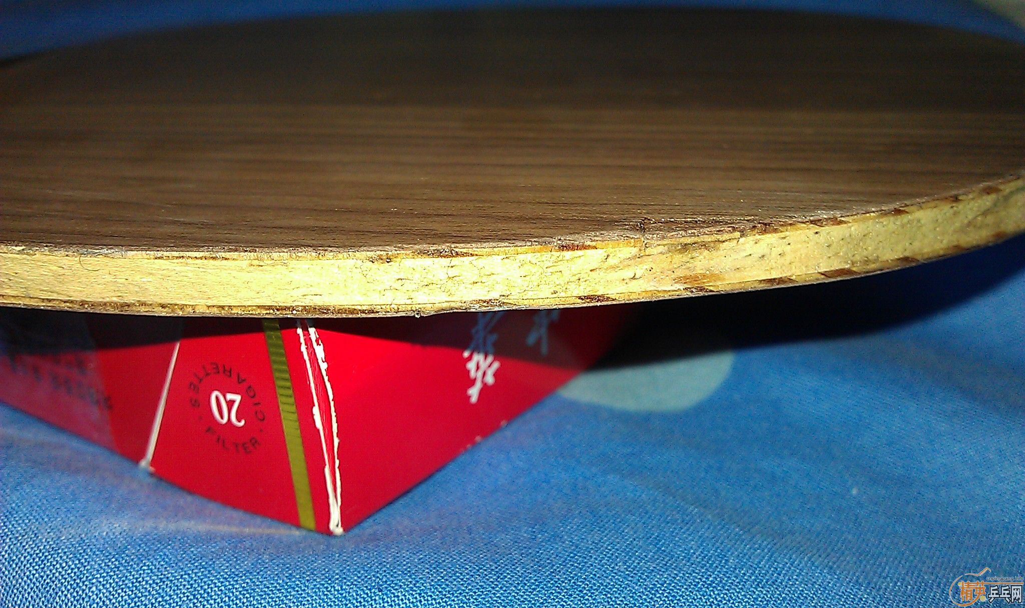 ��ǿ����ľ��STIGA