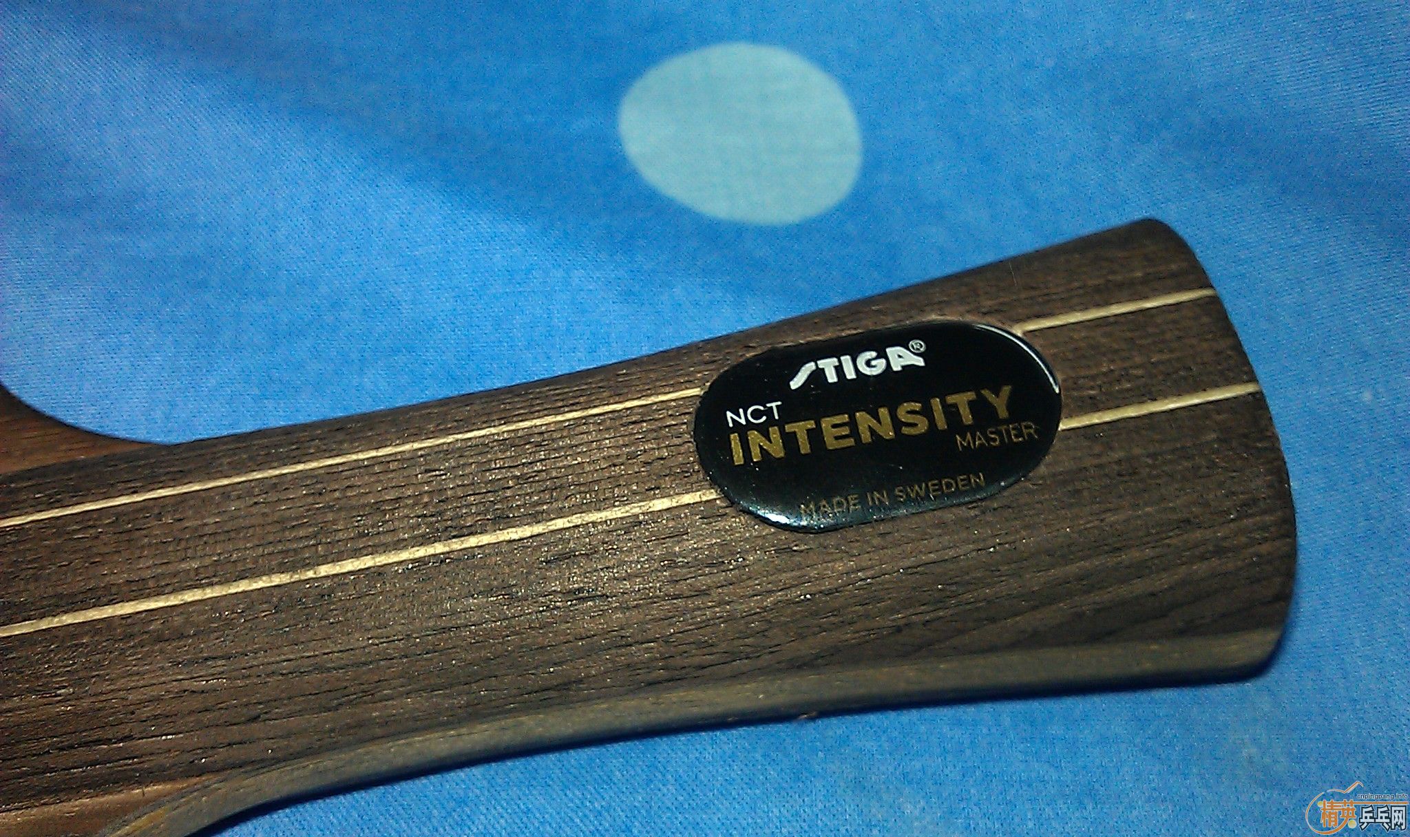 ��ǿ����ľ��STIGA