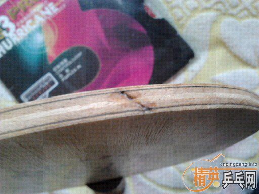 ���µ�����FL+ZAP����ר��=100���죬�ɻ�