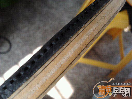 ���µ�����FL+ZAP����ר��=100���죬�ɻ�