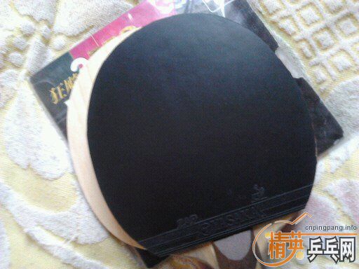 ���µ�����FL+ZAP����ר��=100���죬�ɻ�