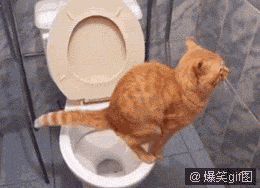 BmV4qM3H.gif