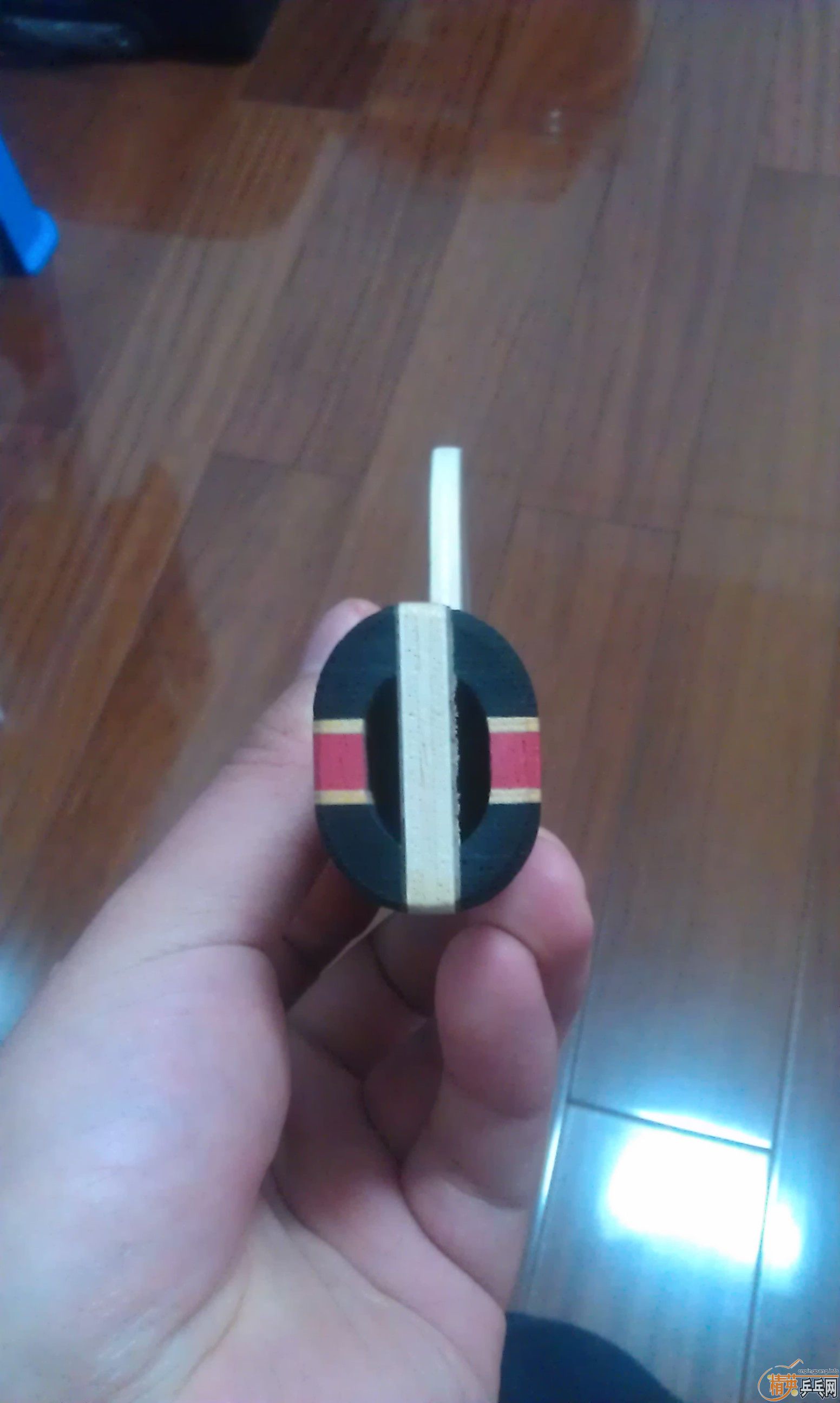 ~~~~׵ŷ ǡŽƤ