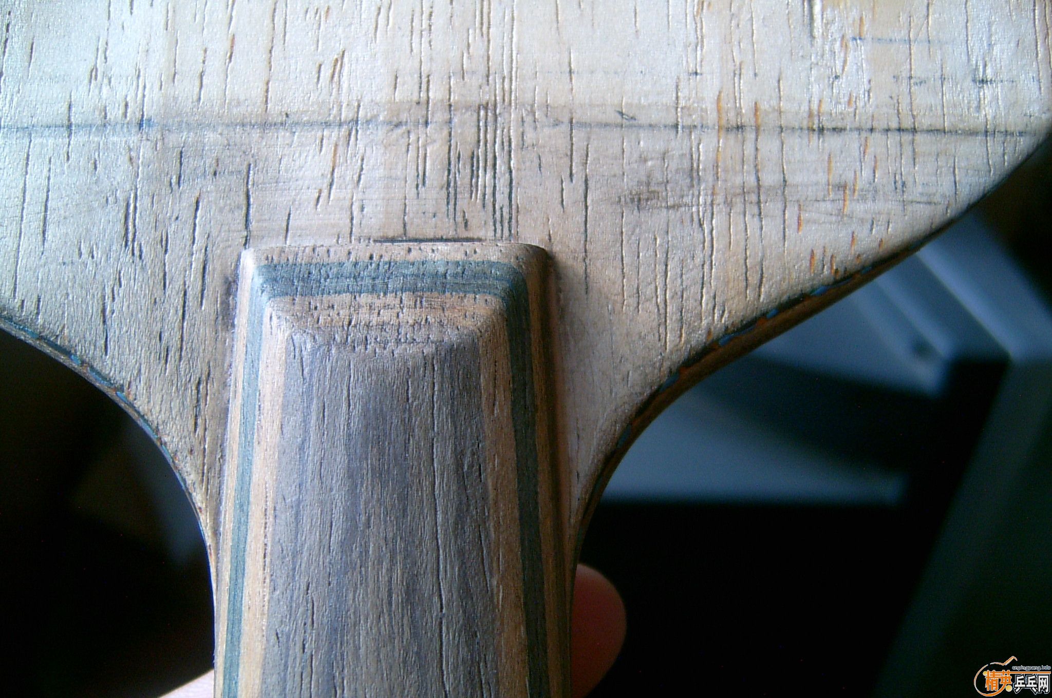 [�Ƽ�]�����������������������֧�������ף�