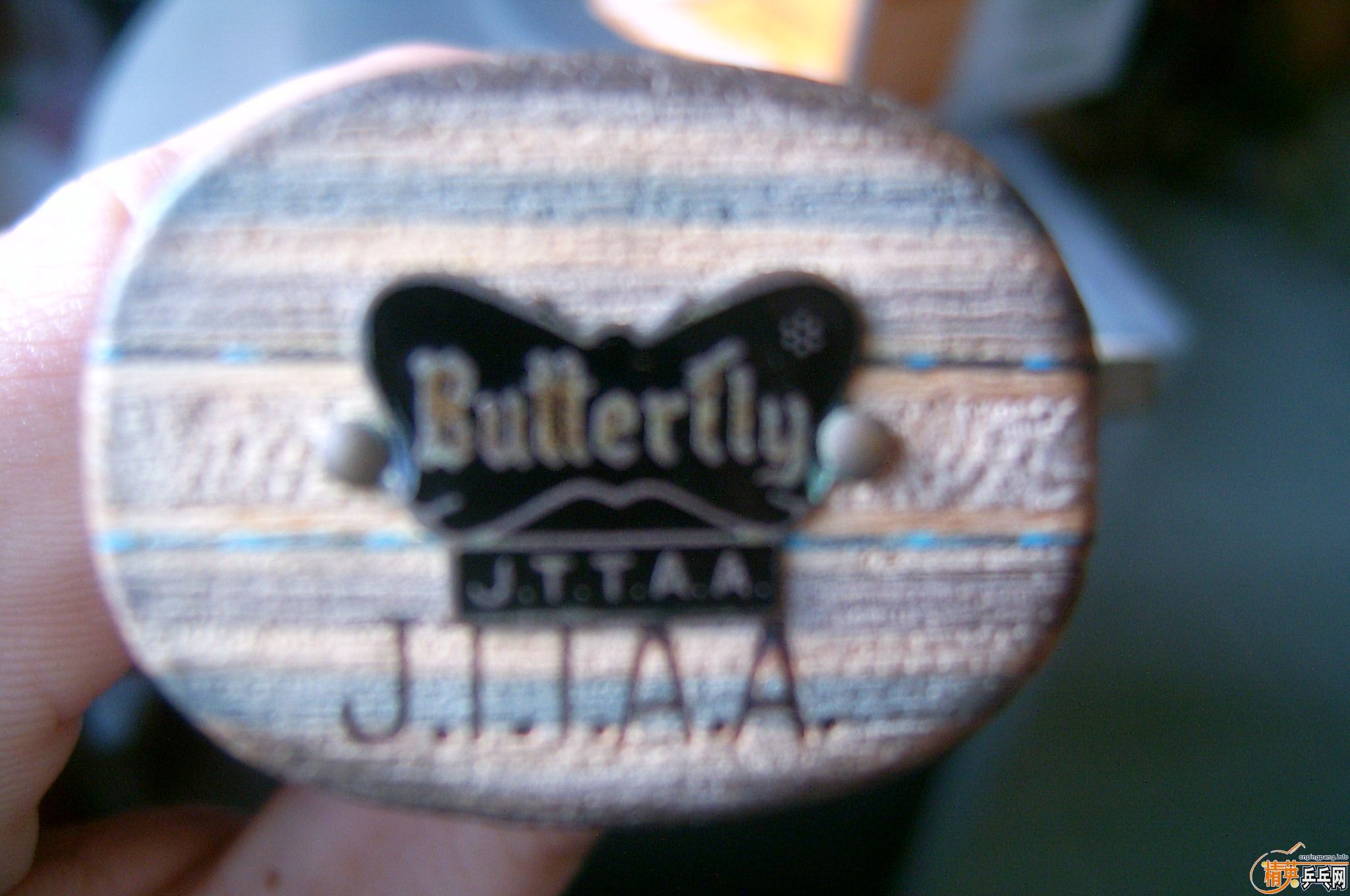 [�Ƽ�]�����������������������֧�������ף�