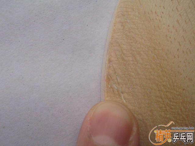 ��9.5��DONC BAUM  SAWTEC  ST   ŷ�޻�