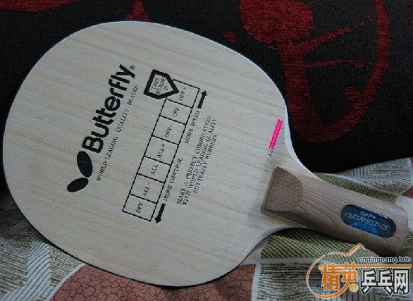 ���ѳ�������CHANJING