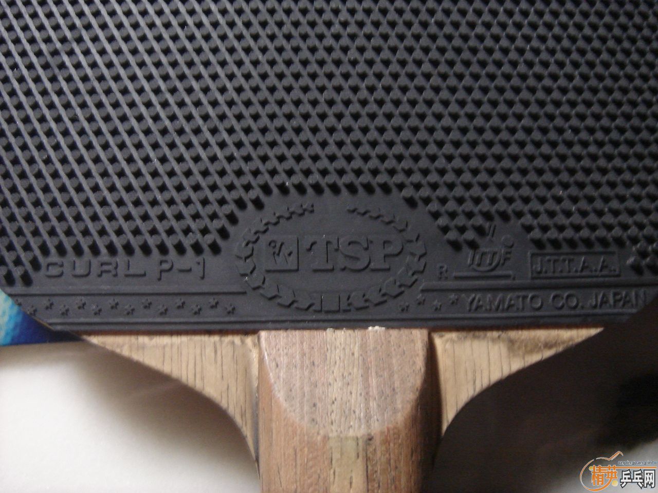 ������  ���ºƶ�