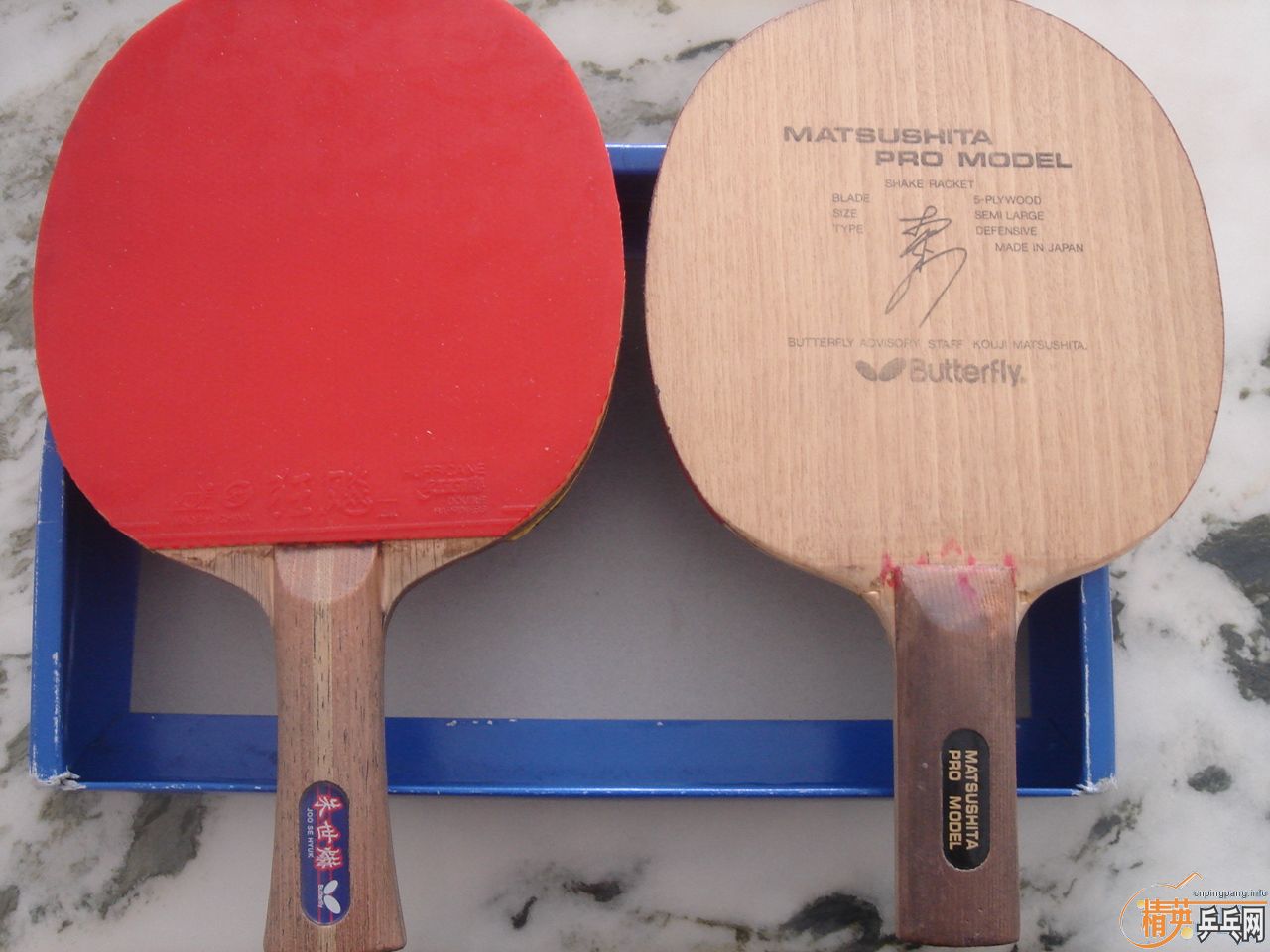 ������  ���ºƶ�