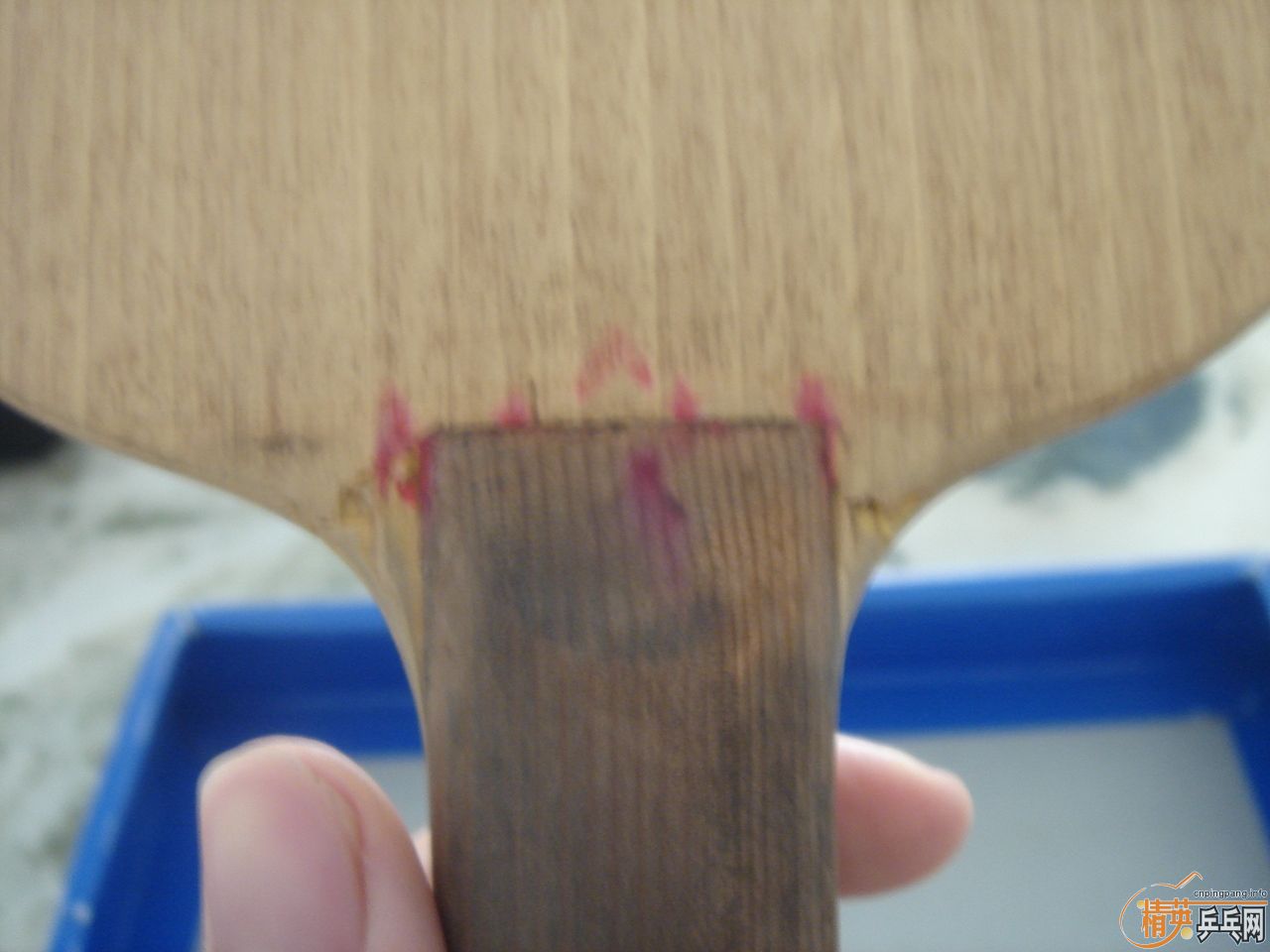 ������  ���ºƶ�