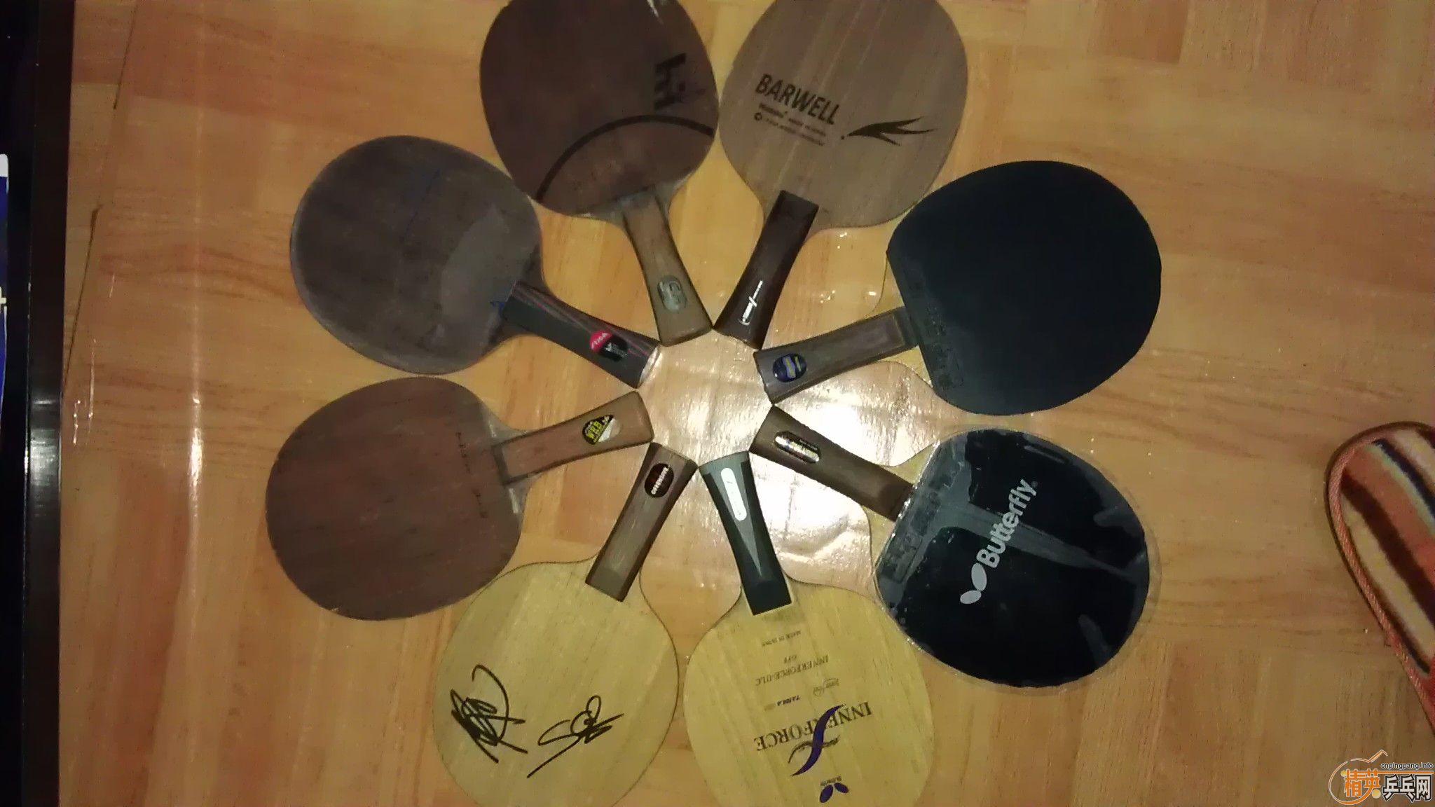 �����ѳ��л�õ��5��ֻ����3�Σ�������������ֵ��ӵ�У���֧��֧������