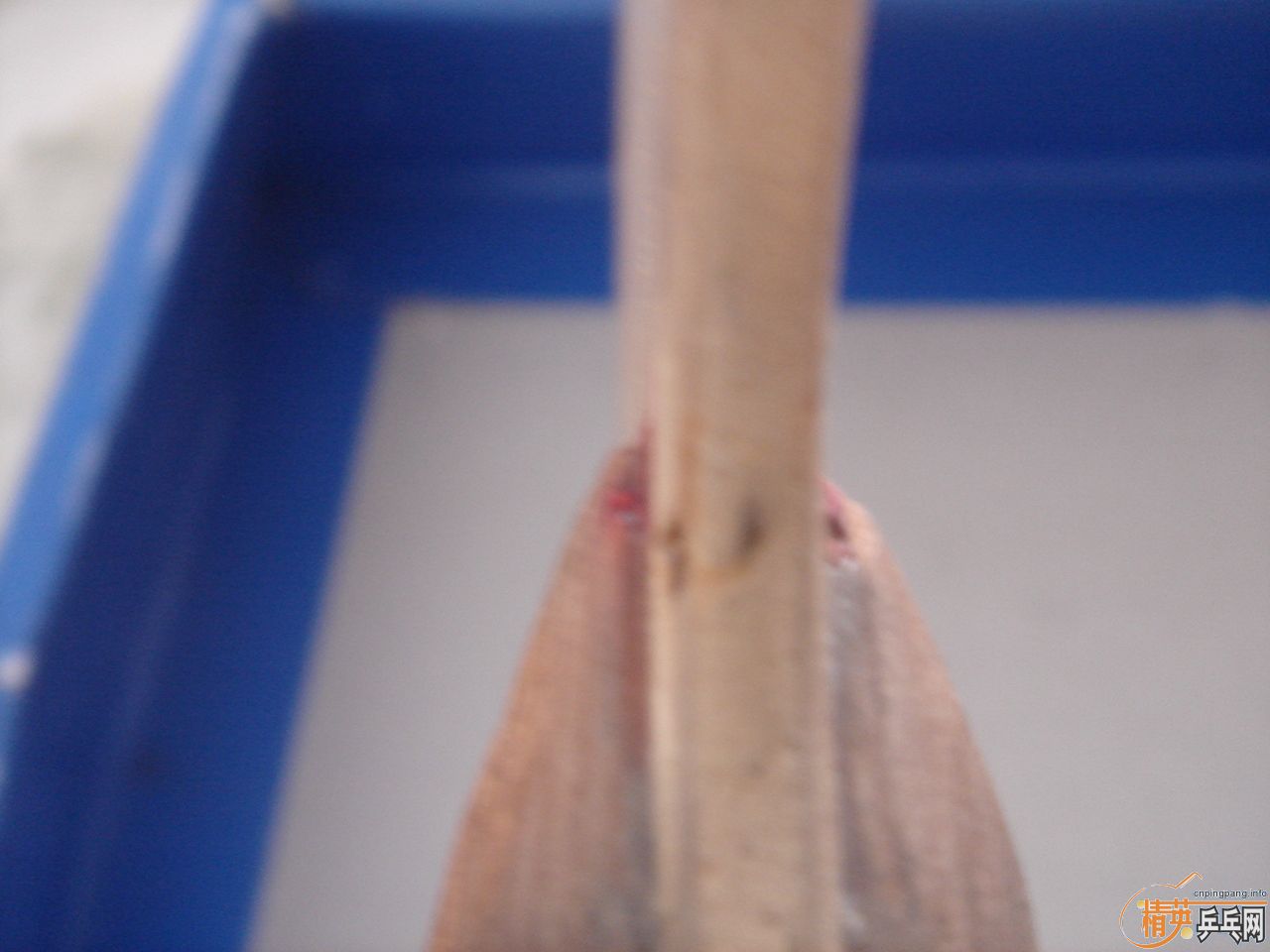 ������  ���ºƶ�