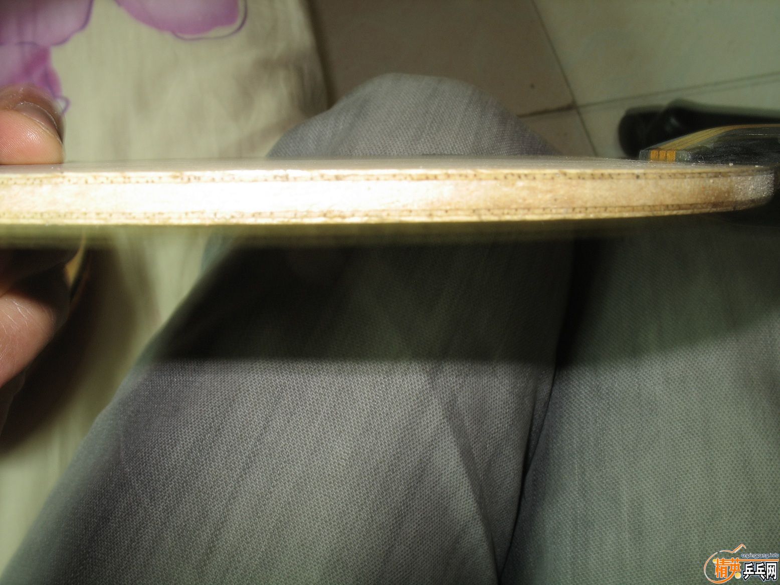 ֧������  ����  ����