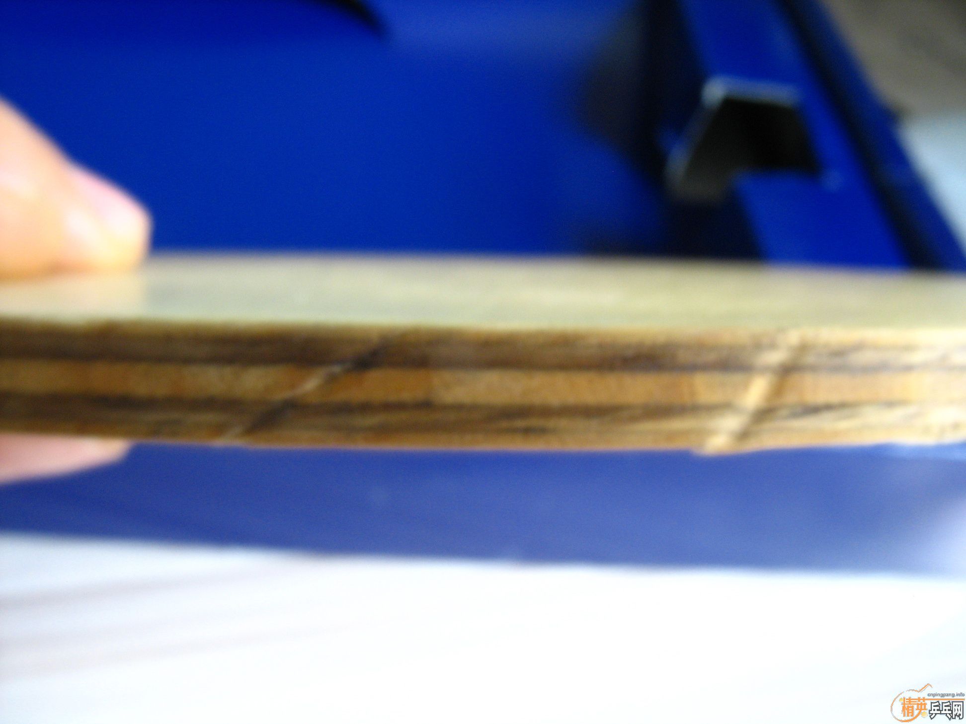 ֧������  ����  ����