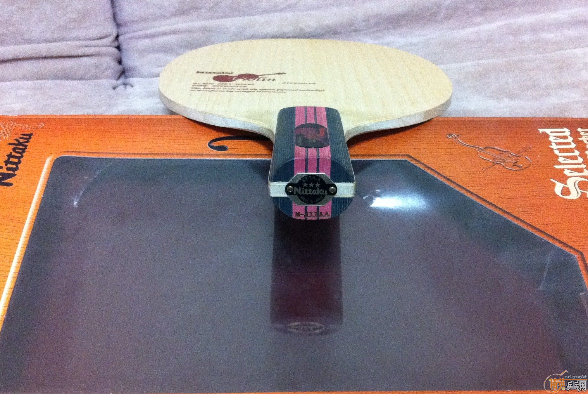 [ԭ��]�����������������������С���٣�õ��5�����հ�YEO��������̼����������̫�࣬��Ҷ������񣬿϶����Ҷ���֧��������