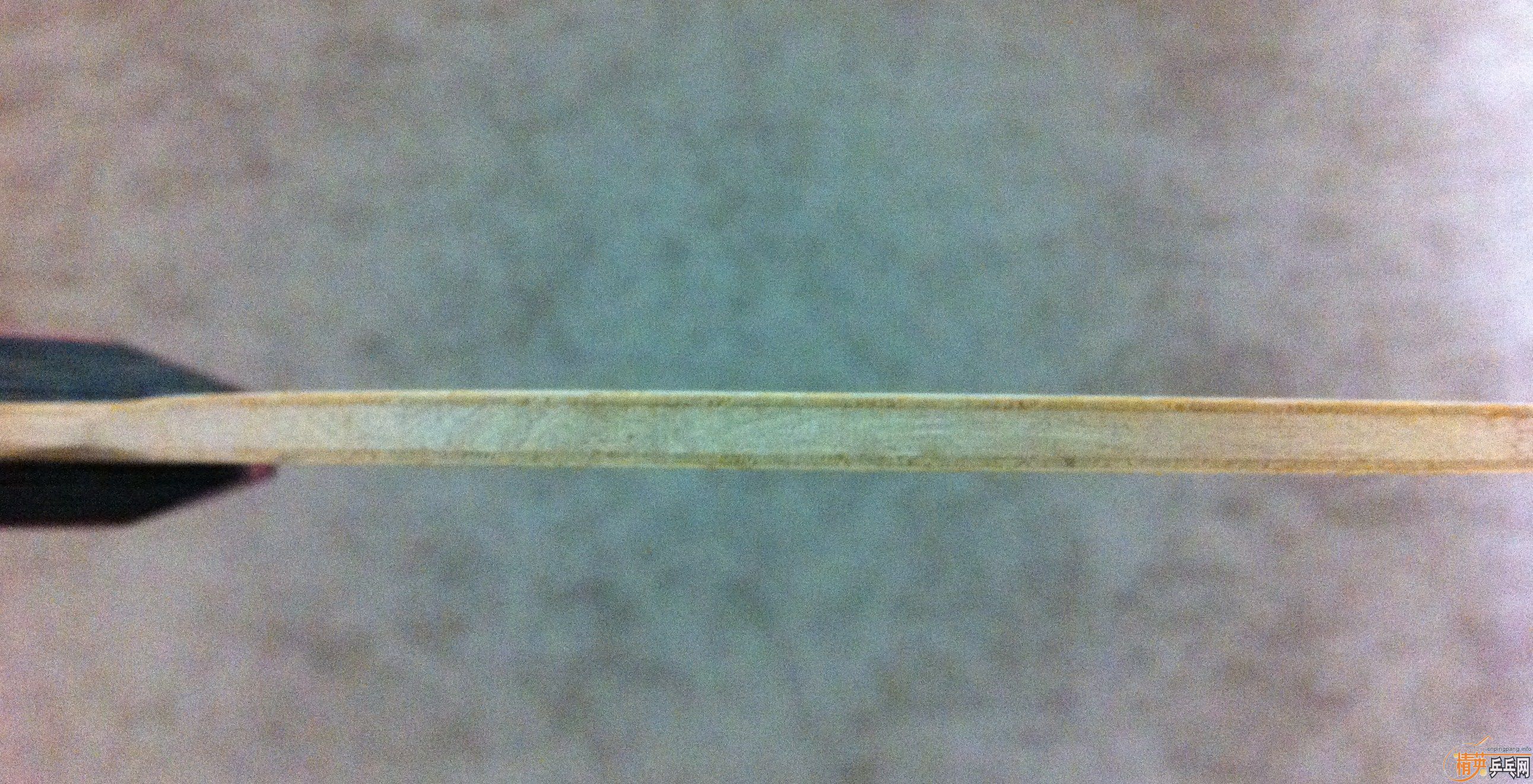 [ԭ��]�����������������������С���٣�õ��5�����հ�YEO��������̼����������̫�࣬��Ҷ������񣬿϶����Ҷ���֧��������