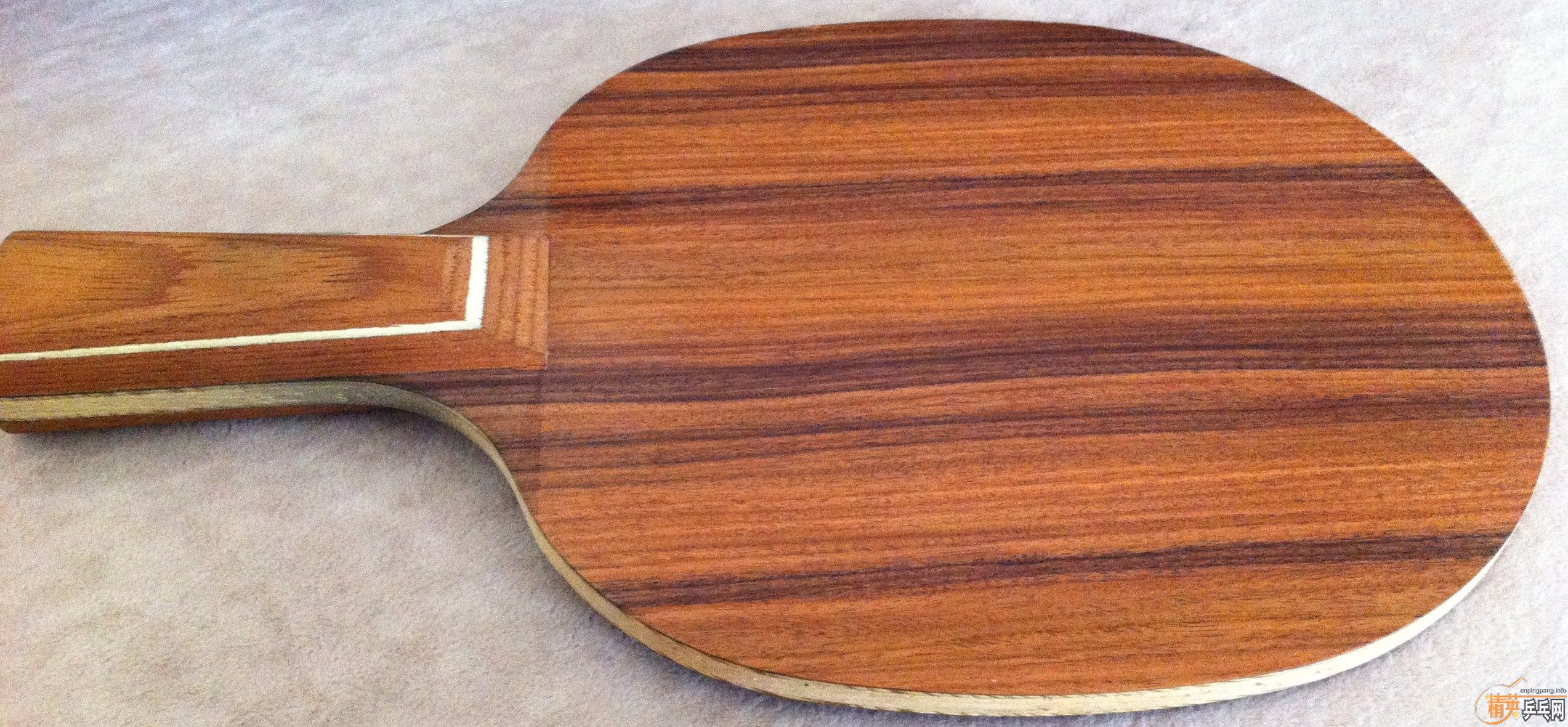 [ԭ��]�����������������������С���٣�õ��5�����հ�YEO��������̼����������̫�࣬��Ҷ������񣬿϶����Ҷ���֧��������