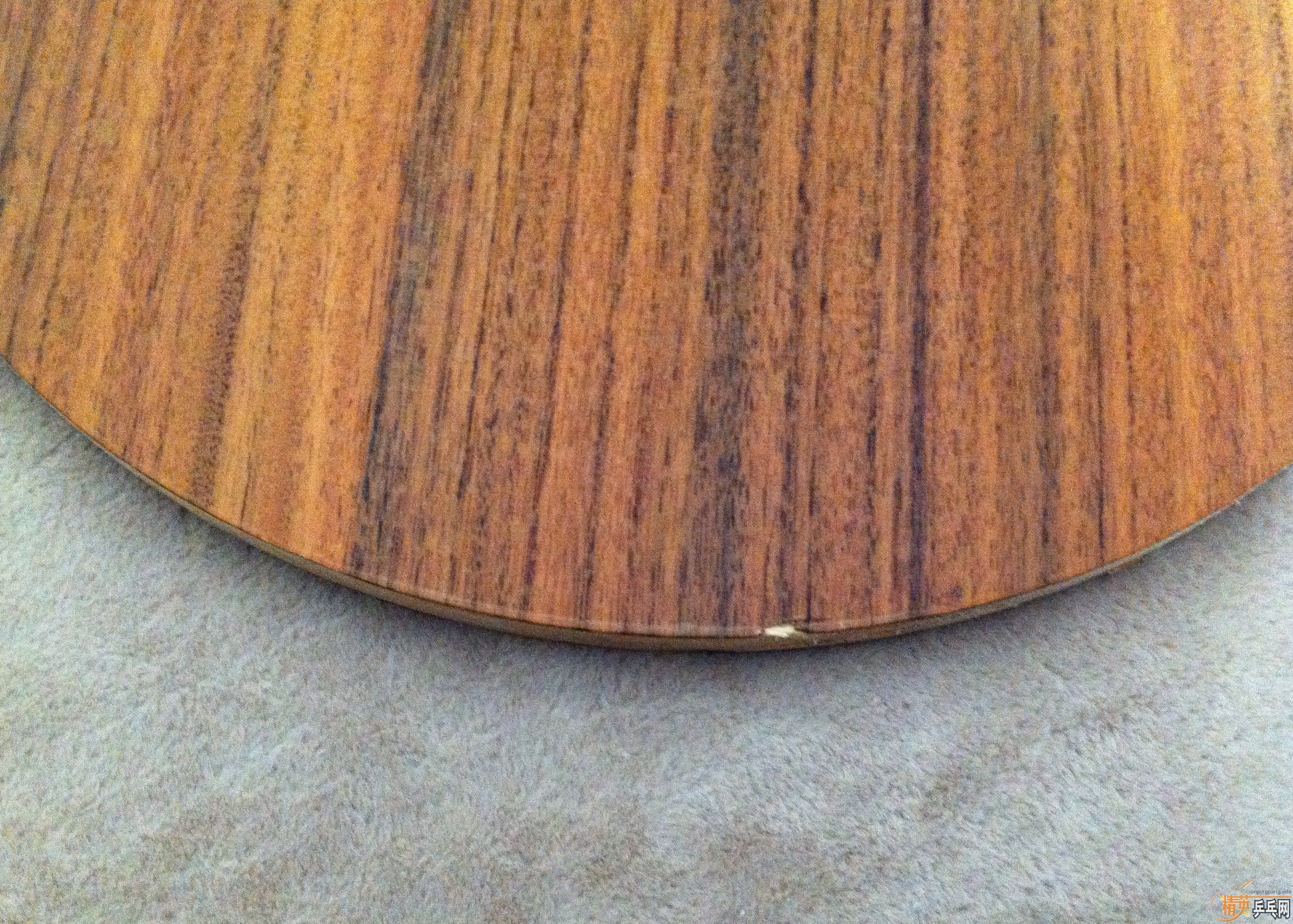 [ԭ��]�����������������������С���٣�õ��5�����հ�YEO��������̼����������̫�࣬��Ҷ������񣬿϶����Ҷ���֧��������