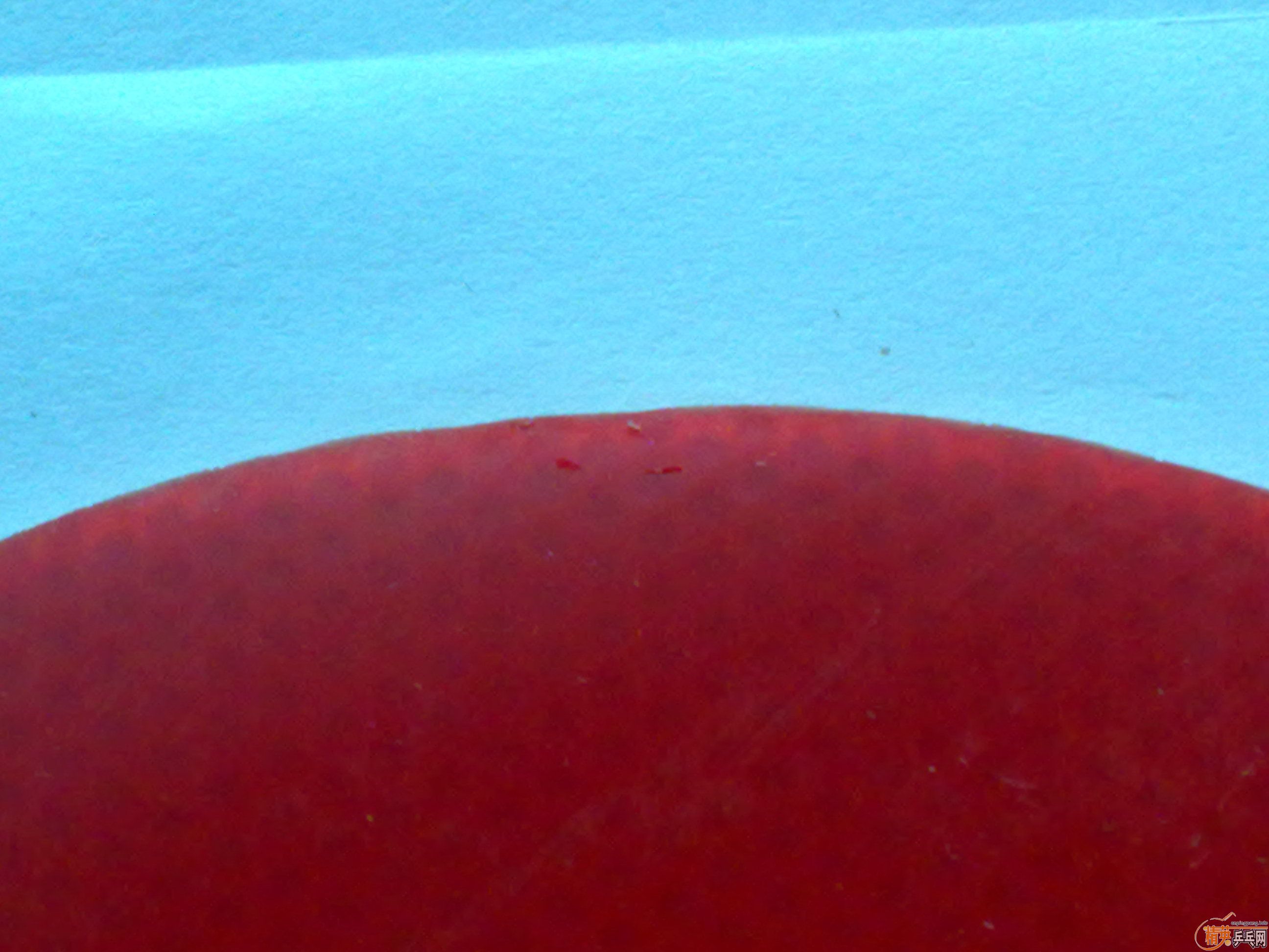 �������ý�Ƥ��������Ի�Ϊ�������һ�𻻣��������ٳ���