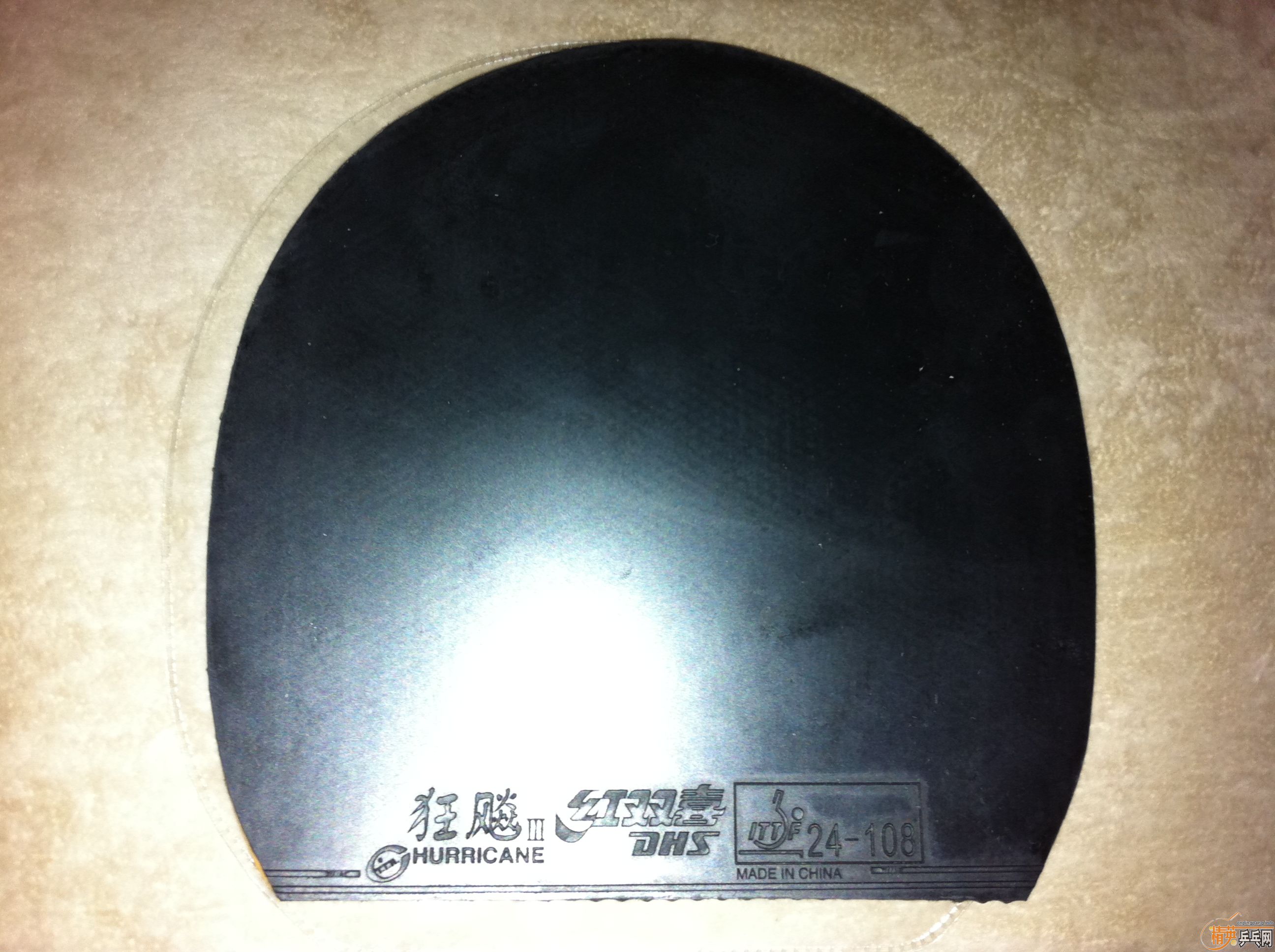 [ԭ��]�����������������������С���٣�õ��5�����հ�YEO��������̼����������̫�࣬��Ҷ������񣬿϶����Ҷ���֧��������