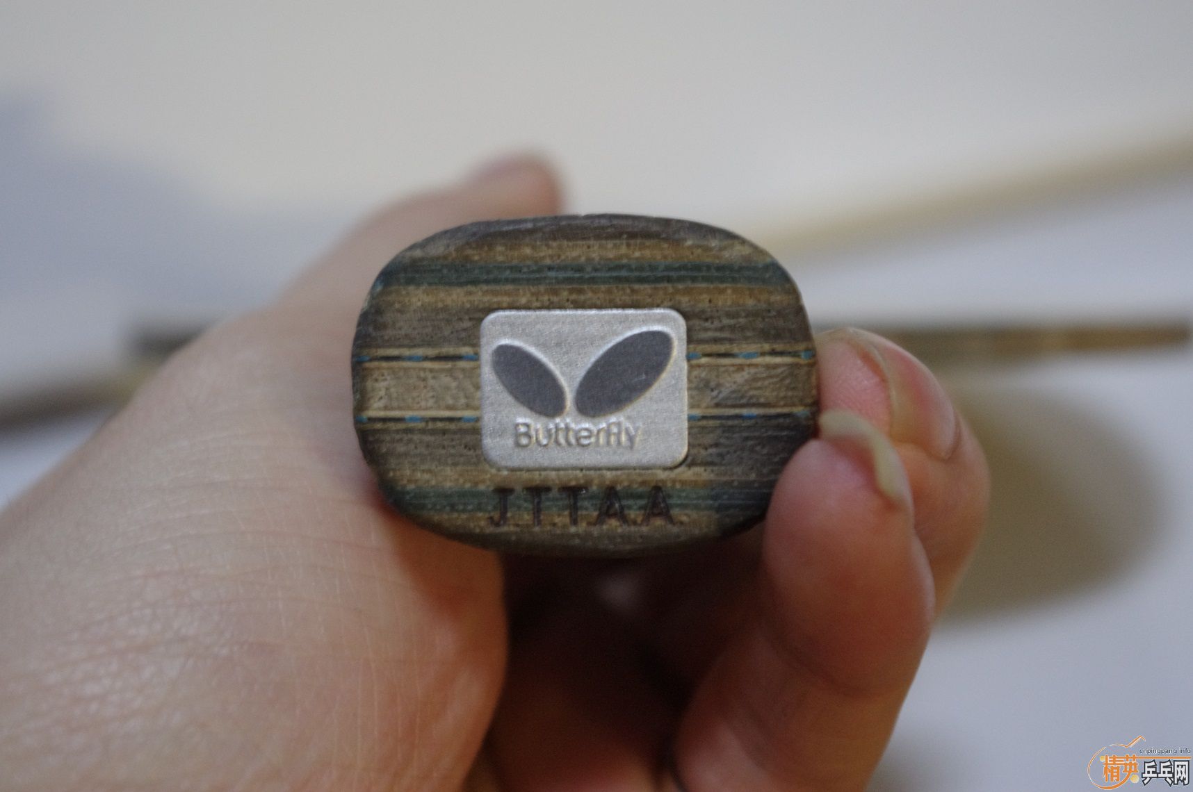 [����]����VIS�����