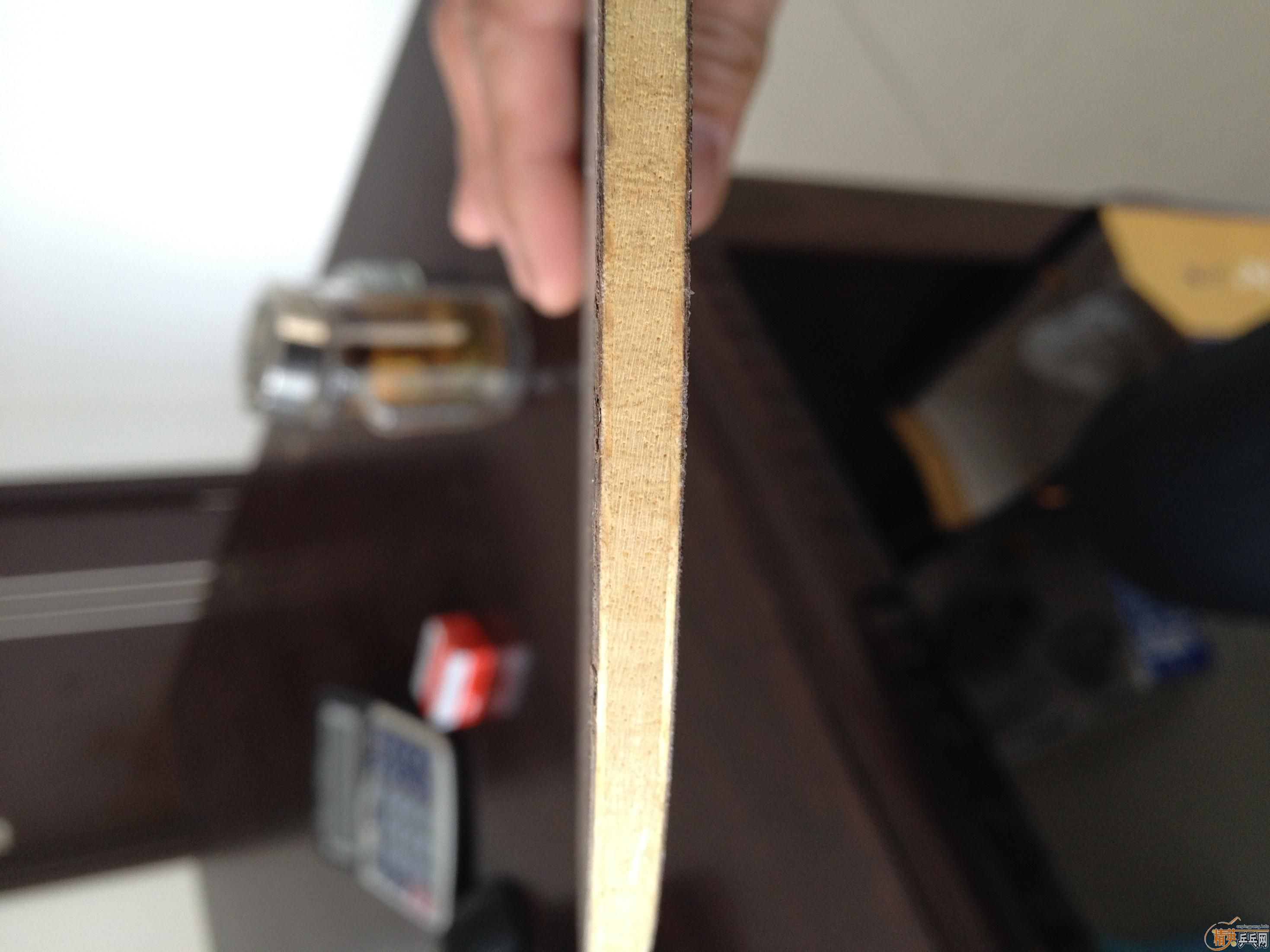 �ͷ�һֻ�հ�YEO