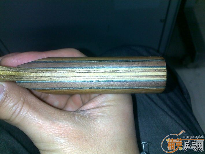 �������ִ���һֻ��