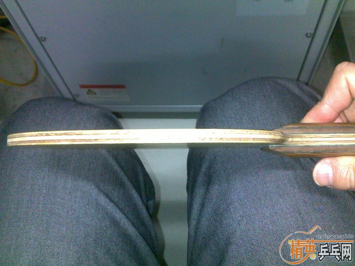 �������ִ���һֻ��