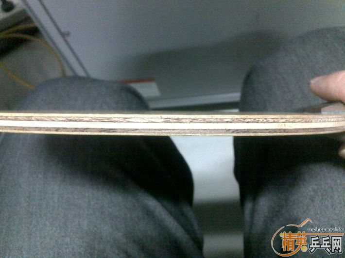 �������ִ���һֻ��