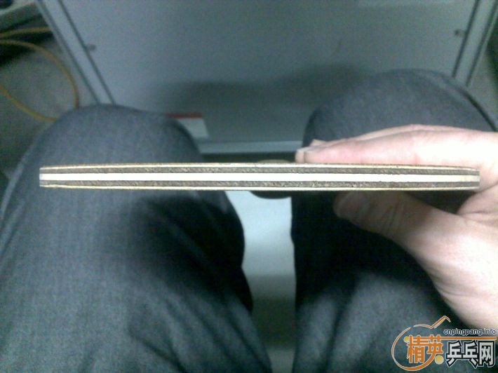 �������ִ���һֻ��