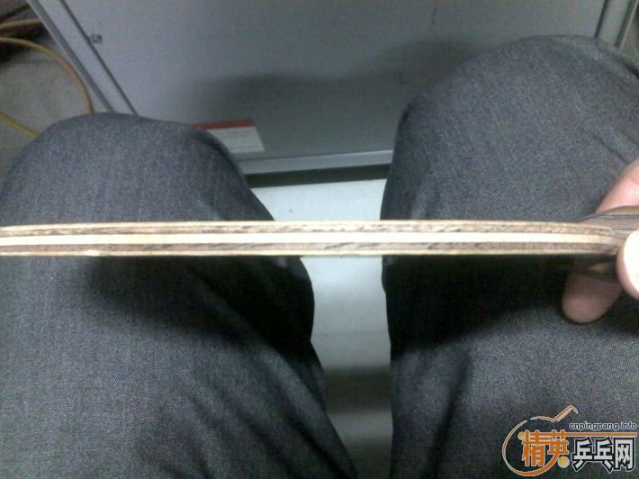 �������ִ���һֻ��