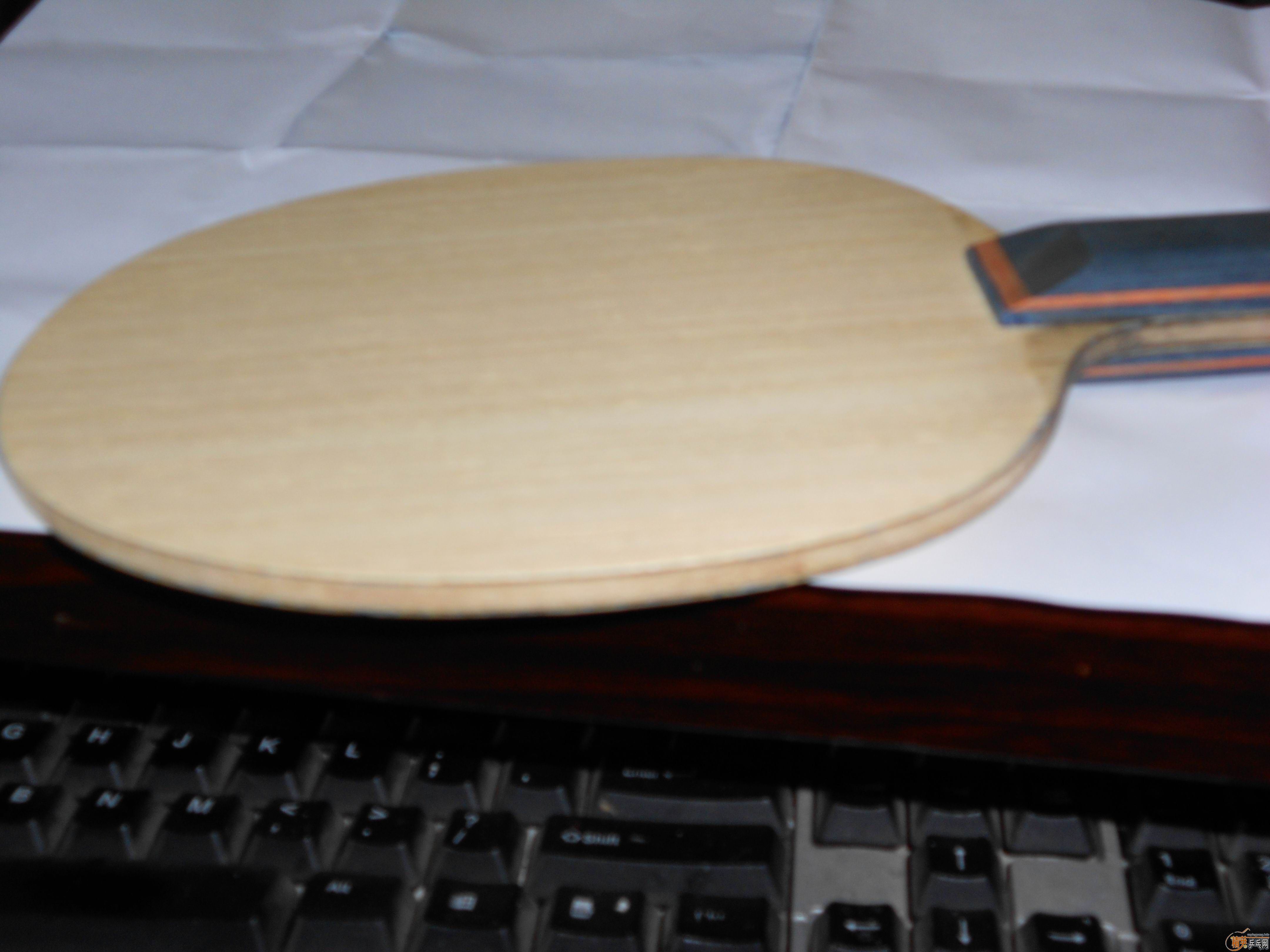 ��9999xin��������ST��