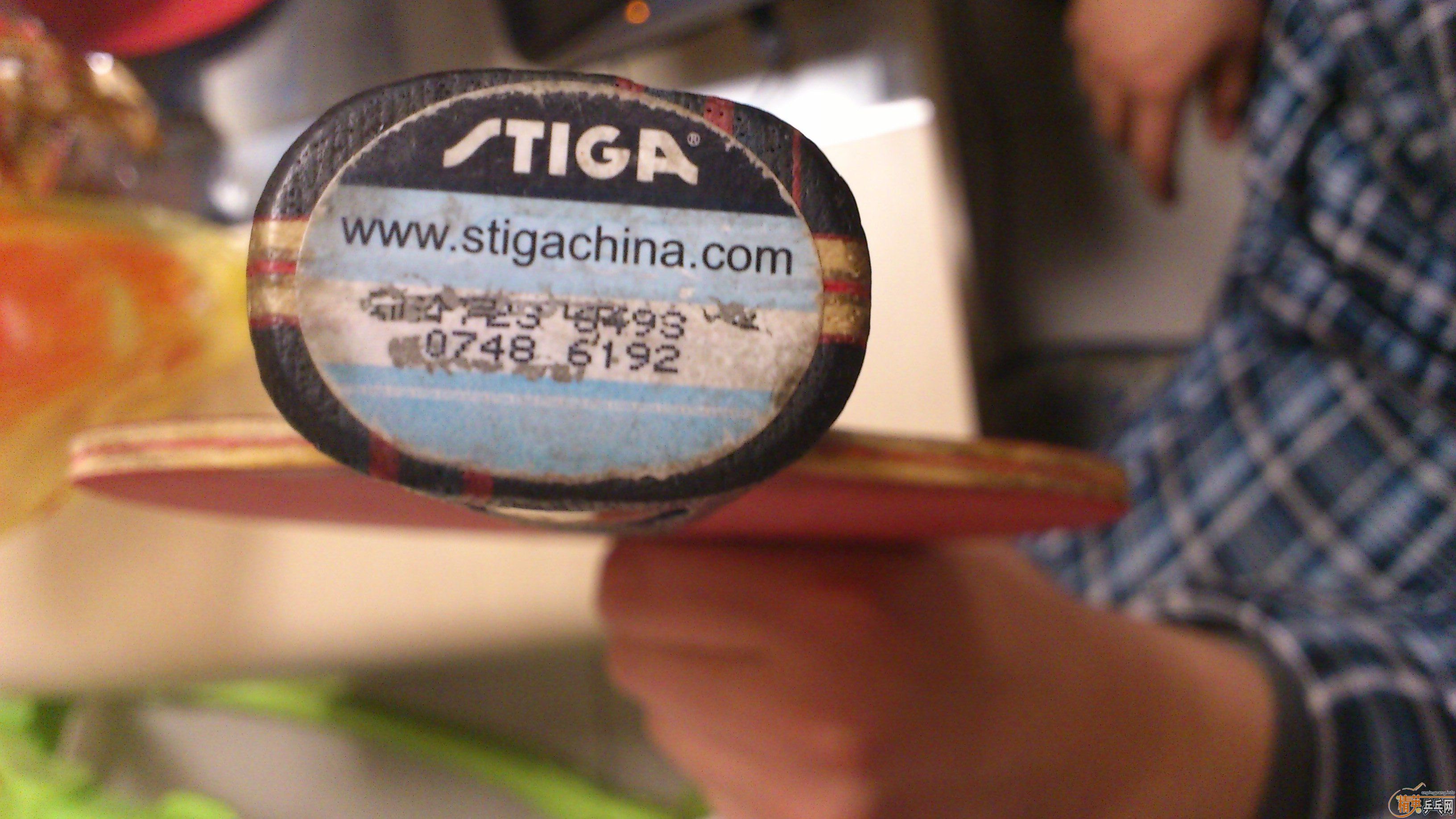 [ԭ��]��Stiga��ˮ��ֱ��һ�顣