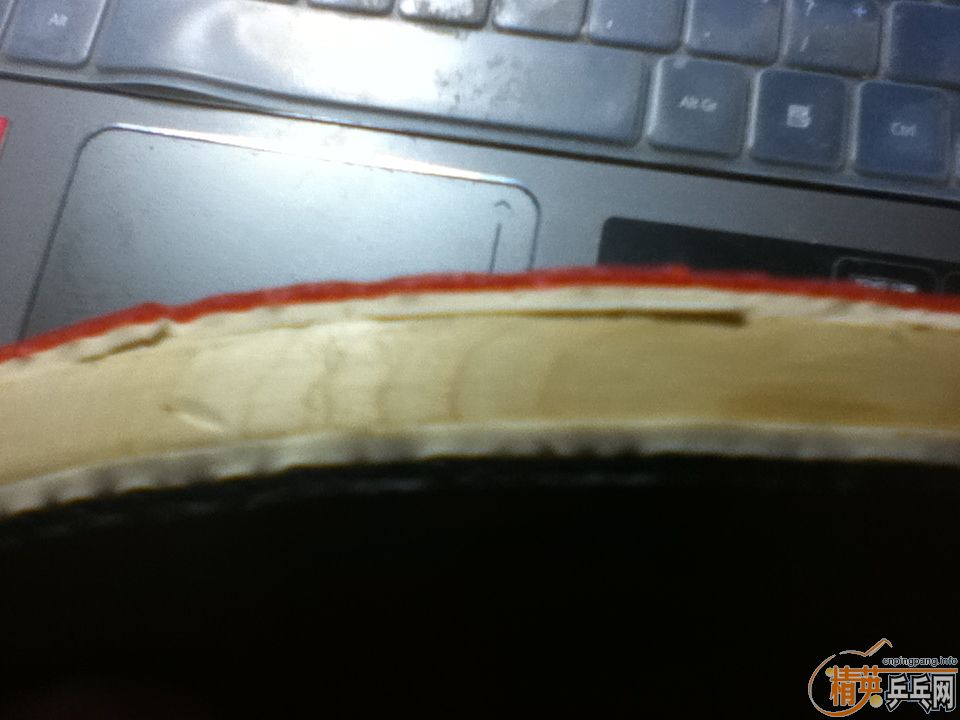 [ԭ��]darker speed600���ֻ�joola 555