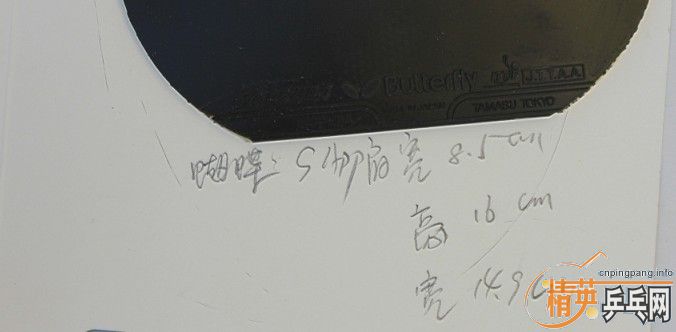 ƤSAPPHIRA 05540